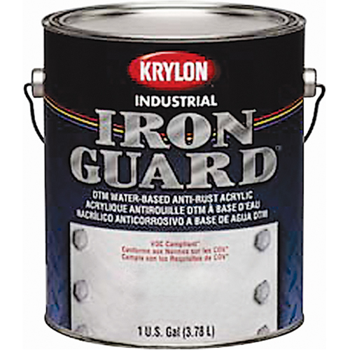 &eacute;mail industriel &agrave; base d'eau Iron Guard, Canette, Gris Pronet Distribution