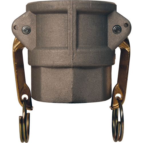 Global Cam & Groove Coupler, Aluminum, Type D, 2-1/2", Female NPT, 250 PSI Pronet Distribution