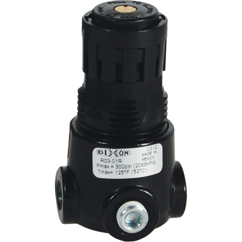 Wilkerson Miniature Regulator R03, 1/4" NPT, 300 psi Max. PSI, Standard Pronet Distribution