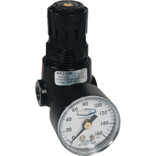 Wilkerson Miniature Regulator R04, 1/4" NPT, 300 psi Max. PSI, Standard Pronet Distribution