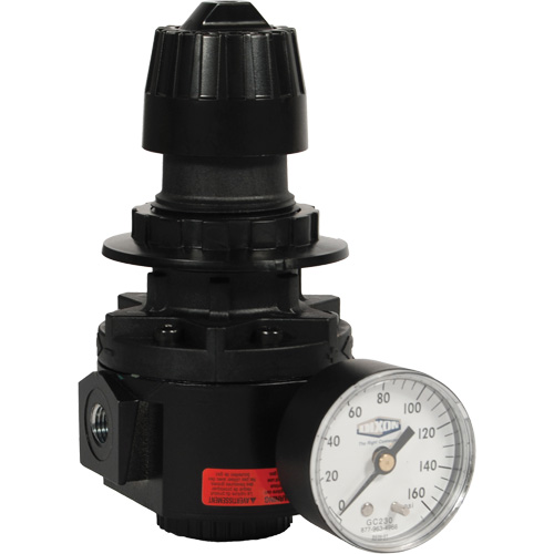 Wilkerson Regulator R26, 1/2" NPT, 300 psi Max. PSI, Standard Pronet Distribution