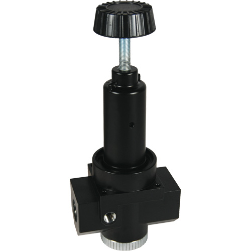 Wilkerson High Flow Regulator R30, 1" NPT, 300 psi Max. PSI, Standard Pronet Distribution