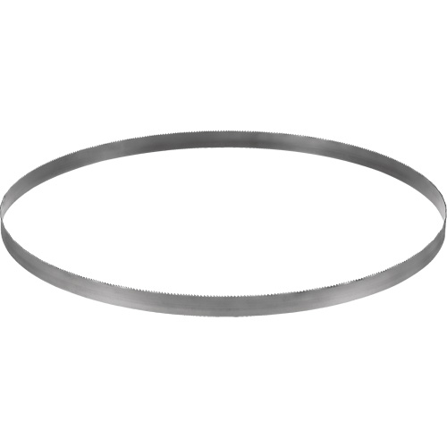 Cordless Band Saw Blade, Bi-Metal, 32-7/8" L x 0.02" Thick, 14-18 TPI Pronet Distribution