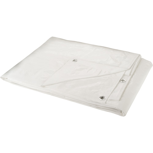 B&acirc;che, Robuste, Blanc, 40' x 30' x 6 mils Pronet Distribution