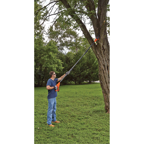 Max* Cordless Pole Pruning Saw Kit Pronet Distribution