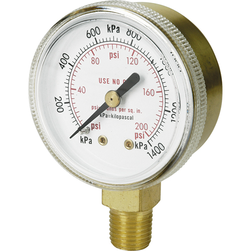 Brass Gauge, 2" , 100 psi, Bottom Mount, Analogue Pronet Distribution