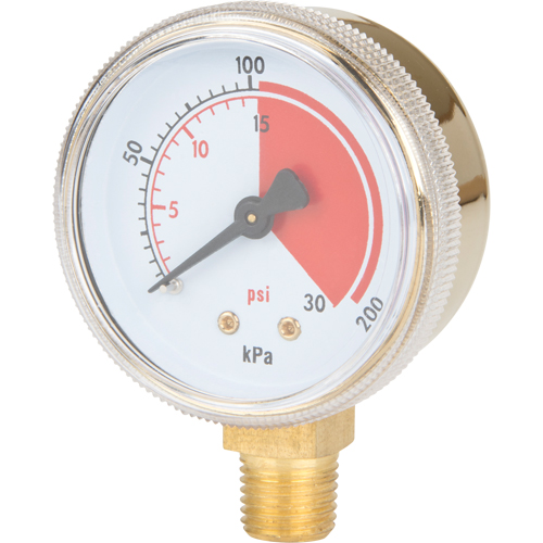 Brass Gauge, 2" , 30 psi, Bottom Mount, Analogue Pronet Distribution