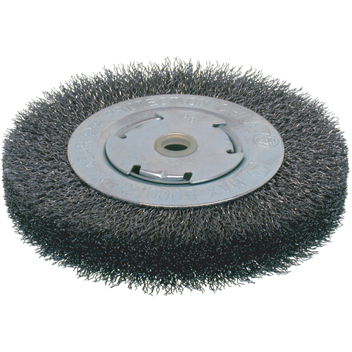 Brosses &eacute;conomiques &agrave; fils cr&ecirc;p&eacute;s - Face large, 6" dia., Fils 0.014, Arbre 2" Pronet Distribution