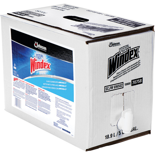 Nettoyant pour vitres Windex avec Ammoniac-D, 5 gal., Sac Pronet Distribution
