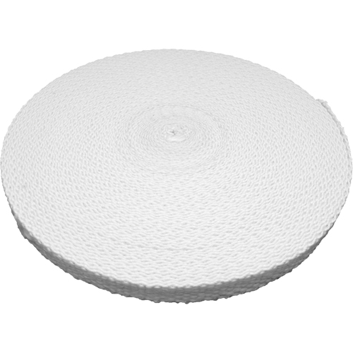 Fibreglass Tape, 3.175 mils Thick, 25 mm (1") x 30.48 m (100')  Pronet Distribution