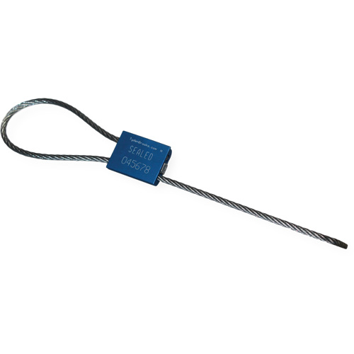 Scell&eacute; de s&eacute;curit&eacute; &agrave; c&acirc;ble Flexsecure FS35, 12", M&eacute;tal, Scell&eacute; &agrave; c&acirc;ble Pronet Distribution