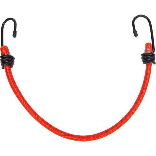 Bungee Cord Tie Downs, 12" Pronet Distribution