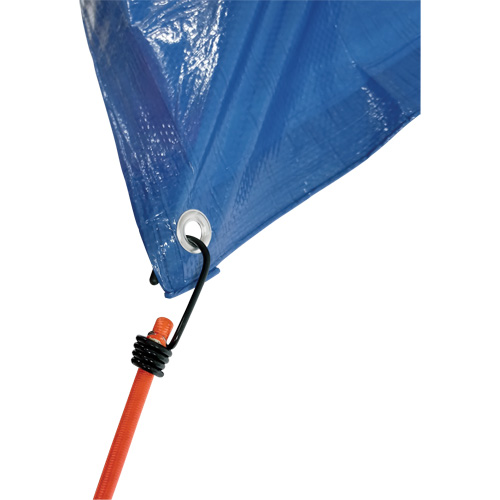 Bungee Cord Tie Downs, 18" Pronet Distribution