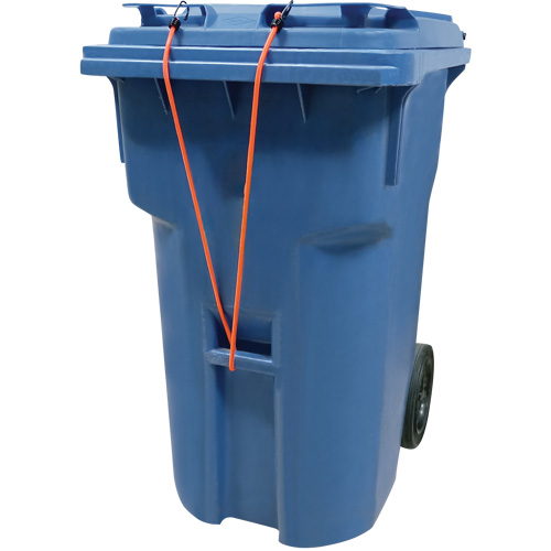 Bungee Cord Tie Downs, 18" Pronet Distribution