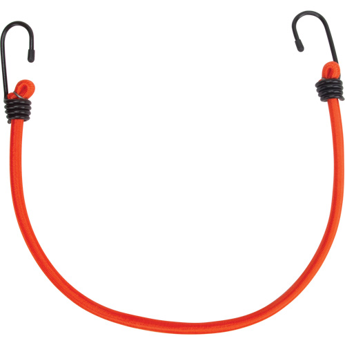 Bungee Cord Tie Downs, 18" Pronet Distribution