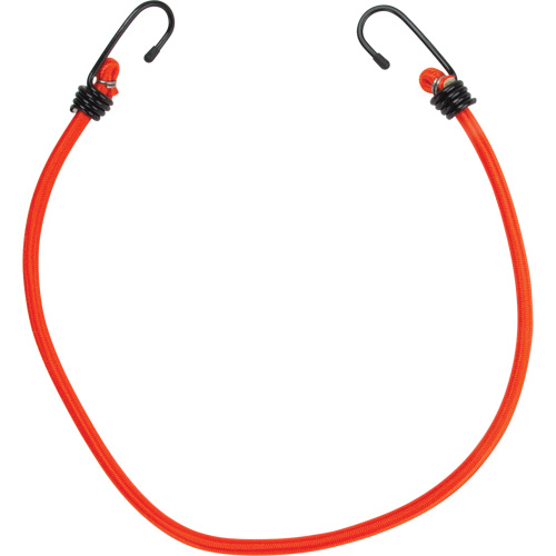 Bungee Cord Tie Downs, 24" Pronet Distribution