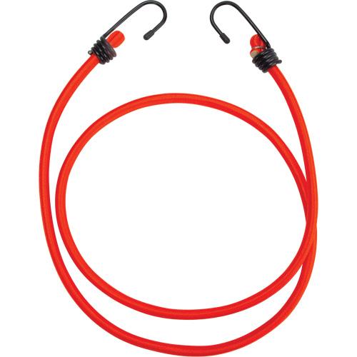 Bungee Cord Tie Downs, 48" Pronet Distribution