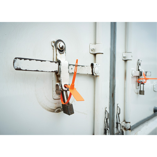 Security Seal, 7-3/4", Plastic, Truck Seal Pronet Distribution