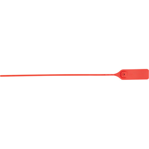 Scell&eacute; de s&eacute;curit&eacute; robuste, 13", Plastique, Scell&eacute; &agrave; tirer Pronet Distribution