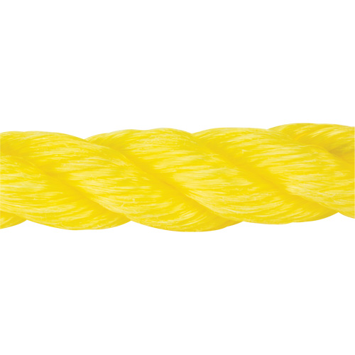 Braided Yellow Rope, Polypropylene, 300' Pronet Distribution