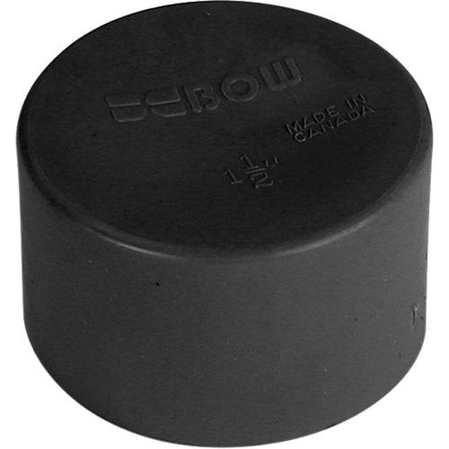 Soft Polyethylene-Blue Test Cap, 1-1/4", Standard, Plastic Pronet Distribution