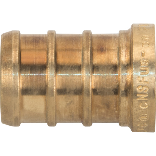 Lead-Free Pipe Plug, Pipe, 1/2" Dia., Brass Pronet Distribution