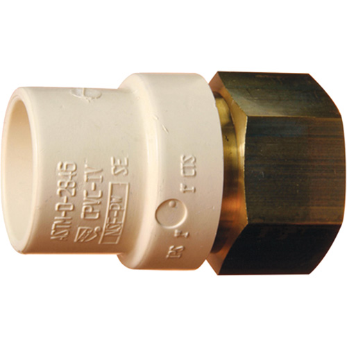 Adaptateur de tuyau filet&eacute;, Noeud x FPT, 1" dia., Laiton/PVC-C Pronet Distribution
