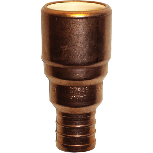 Adaptateur de tuyau, Embout femelle x PEX cannel&eacute;, 1/2" dia., Cuivre/PVC-C Pronet Distribution