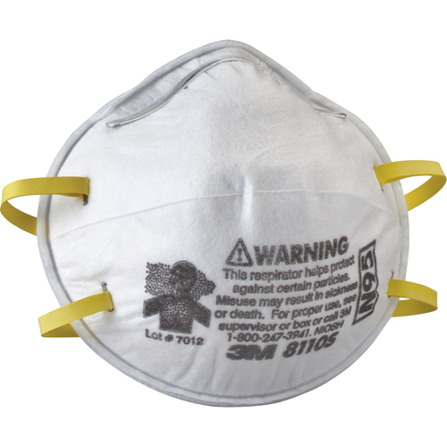 8110S Particulate Respirators, N95, NIOSH Certified, Small Pronet Distribution