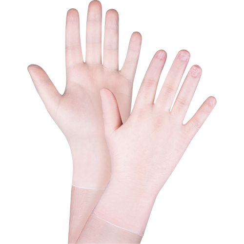 Gants jetables, Moyen, Vinyle, 4,5 mils, Sans poudre, Transparent, Classe 2 Pronet Distribution