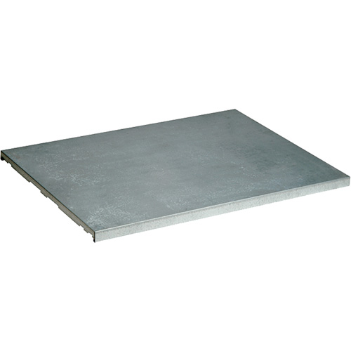 Extra Shelf for Sure-Grip&reg; Ex Flammable Storage Cabinet Pronet Distribution