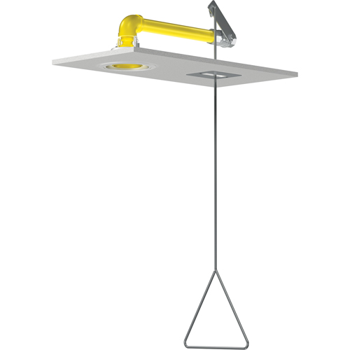 Horizontal Supply Emergency Shower Stations, Ceiling-Mount Pronet Distribution