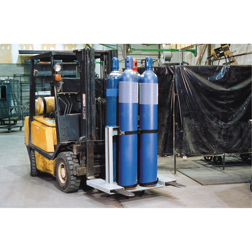Supports pour bouteilles Pronet Distribution