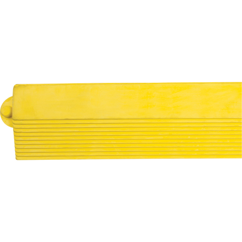 Rampe de bordure pour tapis Pronet Distribution