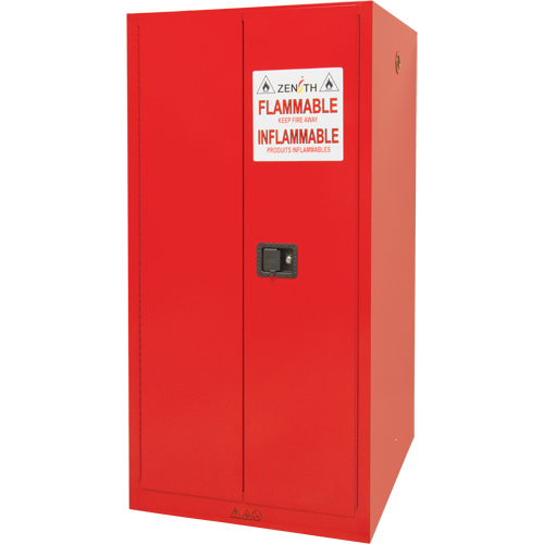 Armoire pour peintures et encres, 96 gal., 5 tablettes Pronet Distribution