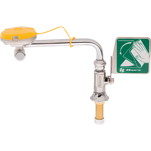 Axion&reg; Eye/Face Wash Station, Sink Mount Installation Pronet Distribution