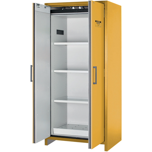 Armoire d'entreposage 90 minutes s&eacute;curitaire et conforme &agrave; la norme EN, 30 gal., 2 Porte(s), 35,16" La x 76,89" h x 24,21" p Pronet Distribution