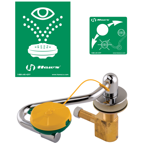 Poste de douche oculaire/faciale, Installation Montage sur &eacute;vier Pronet Distribution