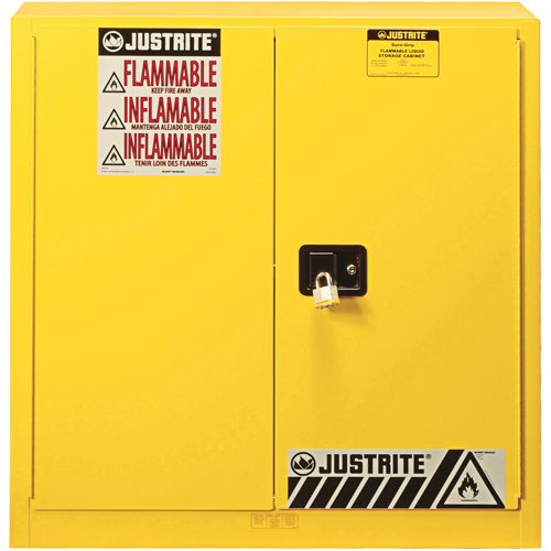 Armoire de s&eacute;curit&eacute; pour produits inflammables Ex Sure-Grip, 30 gal., 2 Porte(s), 36" La x 35" h x 24" p Pronet Distribution