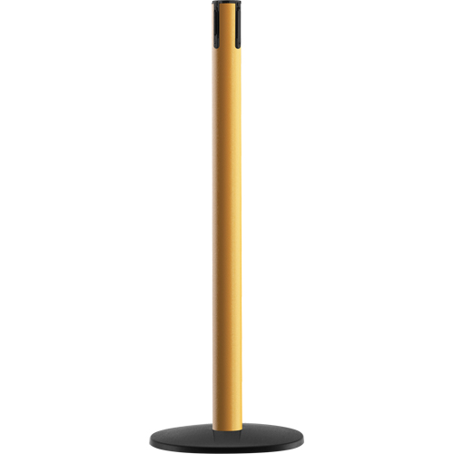 Syst&egrave;me Advance TensaBarrier - Poteau r&eacute;cepteur, Hauteur de 36", Jaune Pronet Distribution