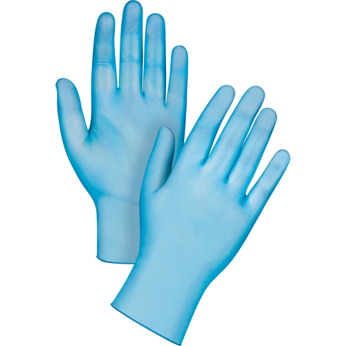 Medical-Grade Disposable Gloves, Large, Vinyl, 4.5-mil, Powder-Free, Blue, Class 2 Pronet Distribution