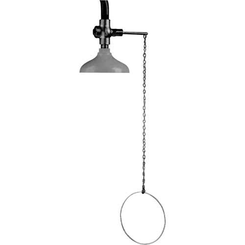 Lifesaver&reg; Emergency Overhead Showers, Ceiling-Mount Pronet Distribution