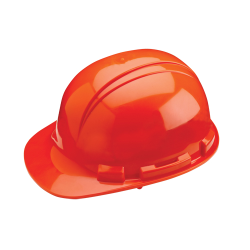 Casque de s&eacute;curit&eacute; Whistler de North, R&eacute;pond aux normes CSA type 1, Suspension Rochet, Non ventil&eacute; Pronet Distribution