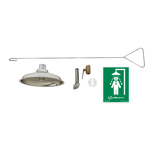 Concealed Drench Shower, Ceiling-Mount Pronet Distribution