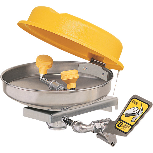 Eyewash Station, Wall-Mount Installation, Stainless Steel Bowl Pronet Distribution
