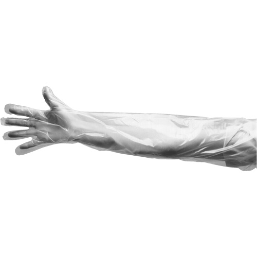 Disposable Gloves, Large, Polyethylene, 9-mil, Powdered, Clear Pronet Distribution