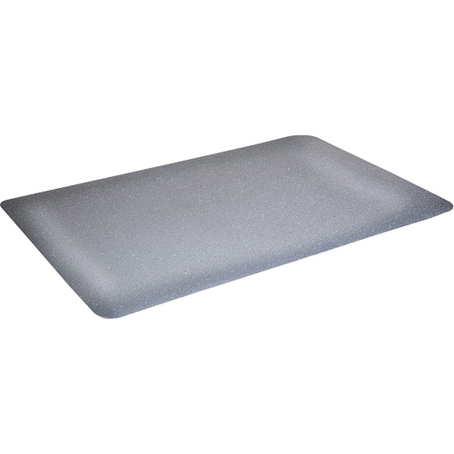 Tapis antimicrobiens WD Foodmaster, Lisse, 3' x 4' x 9/16", Gris, Nitrile/Caoutchouc Pronet Distribution