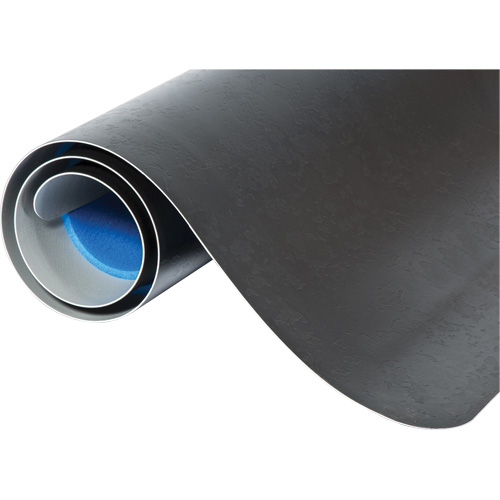 Tapis antimicrobiens WD Elegance, Lisse, 2' x 3' x 9/16", Noir, Vinyle Pronet Distribution