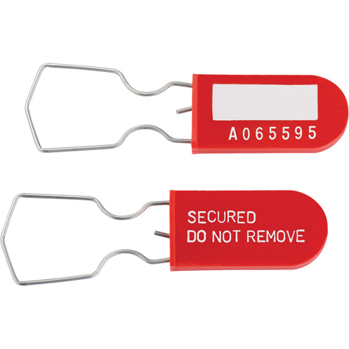 Dynamic Safety Equipment Inspection Tags, Plastic, 1" W x 2-1/4" H, English Pronet Distribution