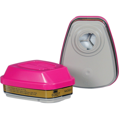 Cartouche, Combinaison cartouche et filtre contre les particules pour gaz/vapeurs, Gaz multiples/Vapeurs/P100 Pronet Distribution